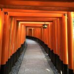 Kyoto: Afternoon E-Bike Tour to Fushimi Inari - What Makes This Tour Stand Out