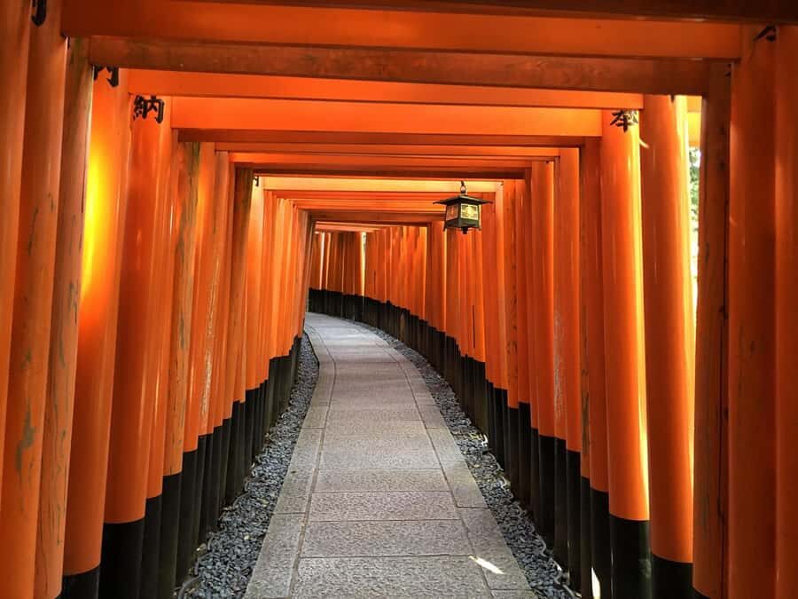 Kyoto: Afternoon E-Bike Tour to Fushimi Inari - What Makes This Tour Stand Out