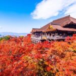 Kyoto and Nara Private Car Tour with a Local English Guide Driver - The Itinerary: Exploring Kyoto’s Icons and Hidden Corners