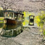 Kyoto and Nara: private tour with English speaking Guide - Deep Dive into the Itinerary & What You’ll Experience