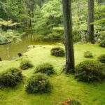 Kyoto: Arashiyama and Sagano Guided Walking Tour - The Details: What’s Included and What to Expect