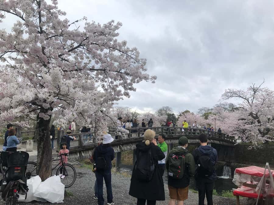 Kyoto Arashiyama Bamboo forest & Golden Pavilion E-Bike Tour - Detailed Breakdown of the Itinerary