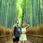Kyoto: Arashiyama Bamboo Forest, Monkeys, Matcha & Temple Tour - Who Will Love This Tour?