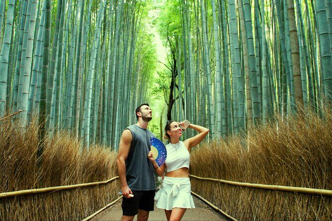 Kyoto: Arashiyama Bamboo Forest, Monkeys, Matcha & Temple Tour - Who Will Love This Tour?