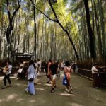 Kyoto: Arashiyama & Takao Bamboo, River & Mountain Hike - Detailed Breakdown of the Itinerary