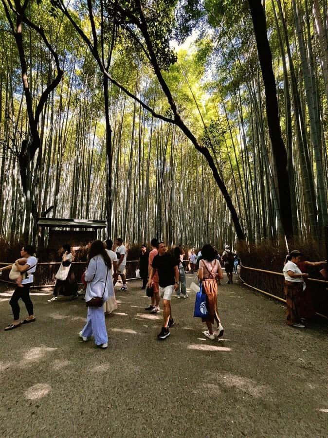Kyoto: Arashiyama & Takao Bamboo, River & Mountain Hike - Detailed Breakdown of the Itinerary