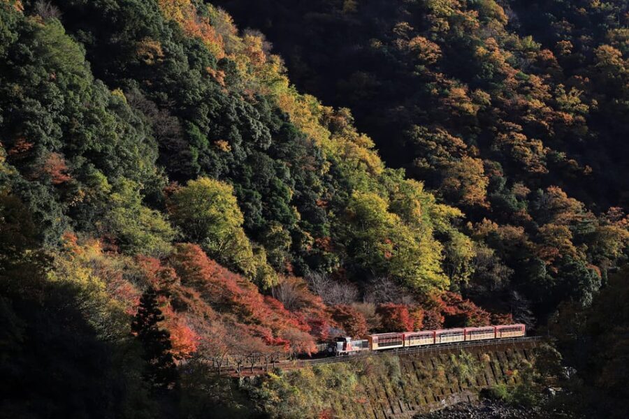 Kyoto: Arashiyama Tour with optional Sagano Romantic Train - The Itinerary in Detail