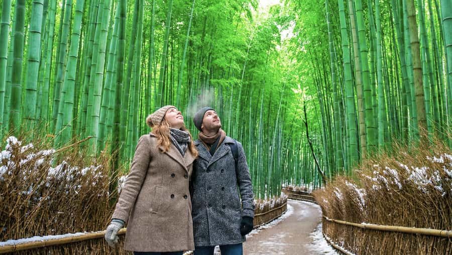 Kyoto: Arashiyama Unveiled Bamboo, Temple, Matcha, & Monkeys - Practical Details & What to Expect