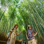Kyoto: Arashiyama Walking Tour  UNESCO World Heritage - Who Should Consider This Tour?