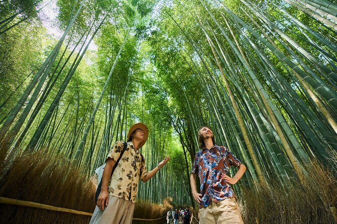 Kyoto: Arashiyama Walking Tour  UNESCO World Heritage - Who Should Consider This Tour?