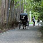Kyoto: Avoid the Crowds at the Hidden Gems of Arashiyama - A Closer Look at the Itinerary