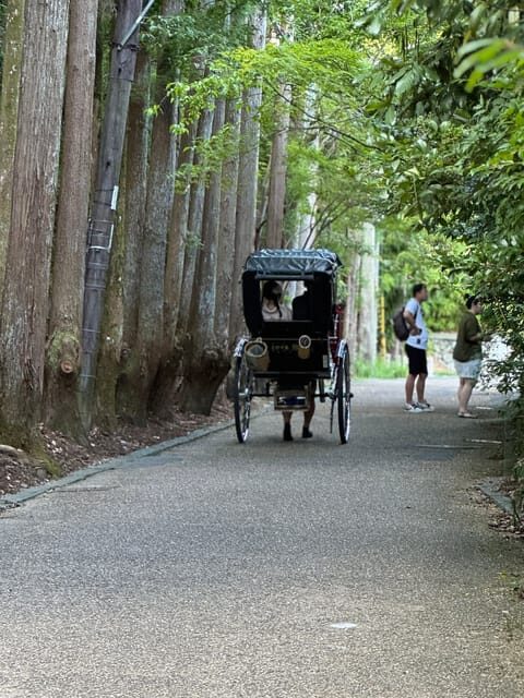 Kyoto: Avoid the Crowds at the Hidden Gems of Arashiyama - A Closer Look at the Itinerary