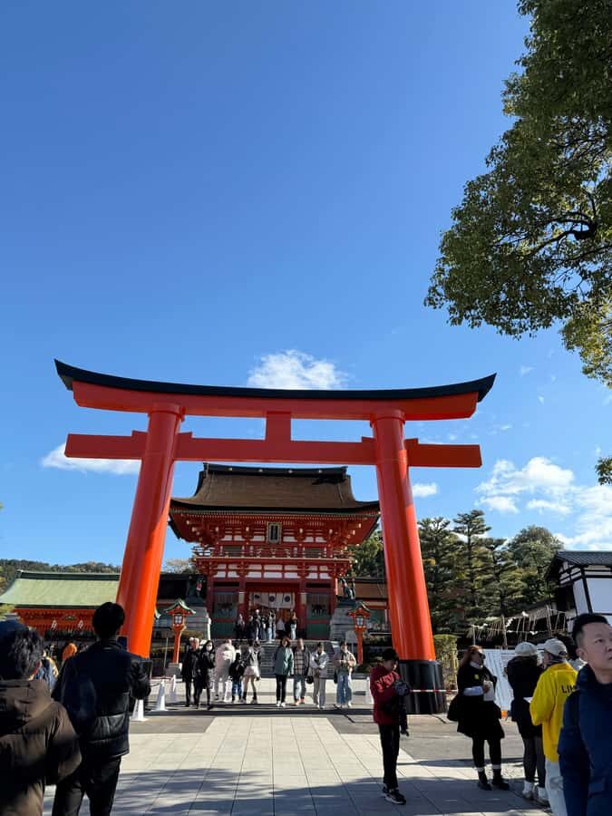 Kyoto City Day Trip& English Speaking & Registered Vehicle - Analyzing the Value