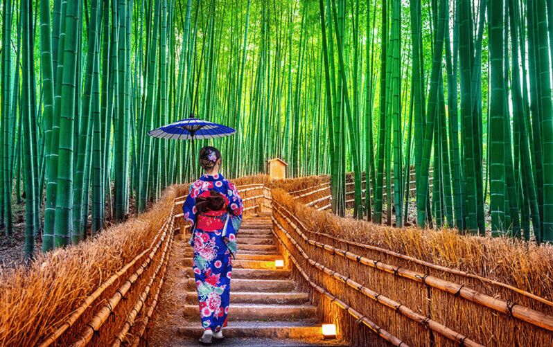 Kyoto Day Tour with Certified Tour Guide & Luxury vehicle - A Deep Dive into the Itinerary