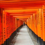 Kyoto: Early-Access Fushimi Inari Private Walking Tour - A Detailed Look at the Itinerary