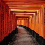 Kyoto Early Morning E Biking Tour Fushimi Inari Kiyomizu Temple - Practical Details: What to Expect
