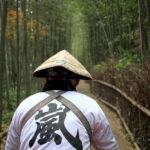 Kyoto: Full-Day Guided Tour of Kyoto's Top Highlights - Transportation and Group Experience