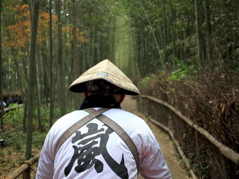 Kyoto: Full-Day Guided Tour of Kyoto's Top Highlights - Transportation and Group Experience