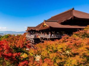 Kyoto: Gion at Night & Kiyomizu Sunset Walking Tour - Who Will Love This Tour?