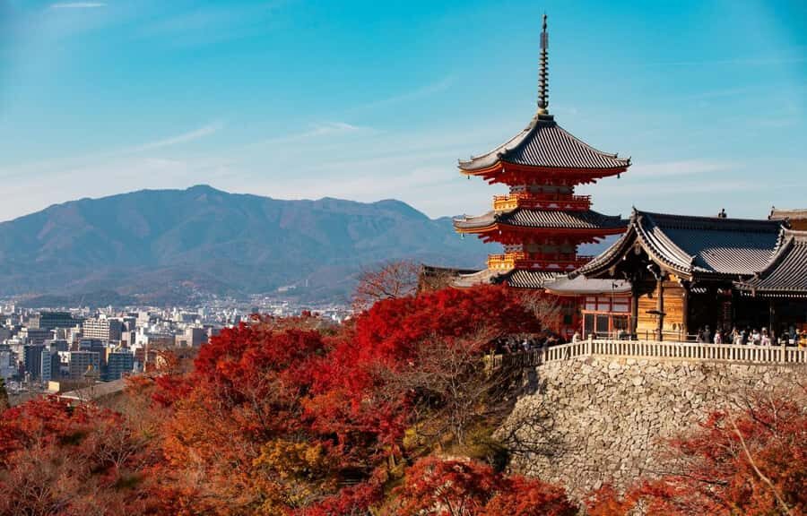 Kyoto, Gion & Nara: Culture & Heritage Full-Day Tour - Detailed Breakdown of the Itinerary
