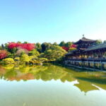 Kyoto: Guided Cycling Tour along Higashiyama's Waterfront - Insight from Participants