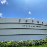 Kyoto: Guided Tour of Great Festivals and Cultural Events - What Makes This Tour Stand Out?