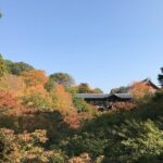 Kyoto Guided Walking Tour: Secret Zen Garden and Fushimi Inari - The Practical Side: What to Expect