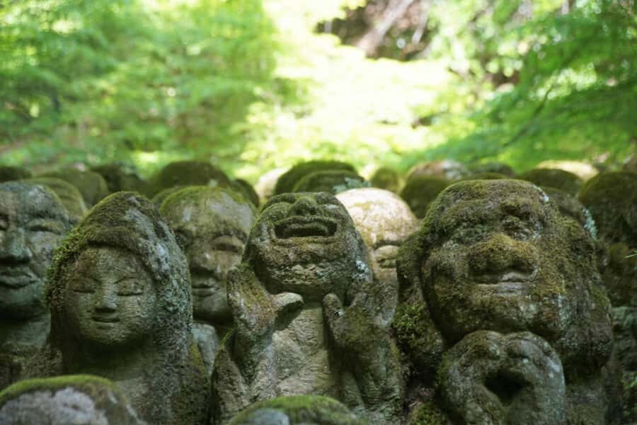 Kyoto: Hidden Temples Guided Tour with Arashiyama Visit - Why This Tour Offers Great Value