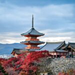 Kyoto: Highlight Private day Tour with guide and Vehicle - Who Will Love This Tour?