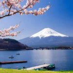 Kyoto: Hiroshima Peace Memorial Park Private Day Trip - Discovering Hiroshima: A Journey of Respect, Reflection, and Renewal