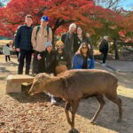 Kyoto: Historical Nara & Kyoto Bus Tour - FAQs