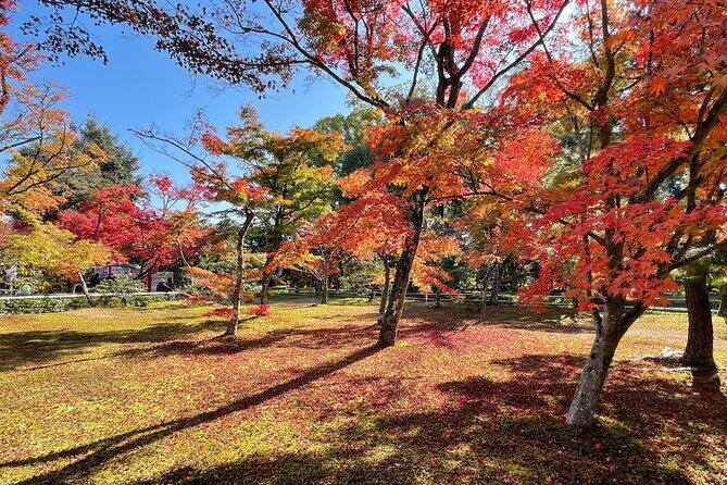 Kyoto: Kinkaku-ji Temple & Serene Garden Guided Tour with Tickets - What You’ll Love About This Tour