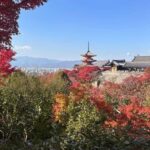 Kyoto: Kiyomizudera, Sanjusangendo, Kodaiji, and Gion. - Practical Aspects of the Tour