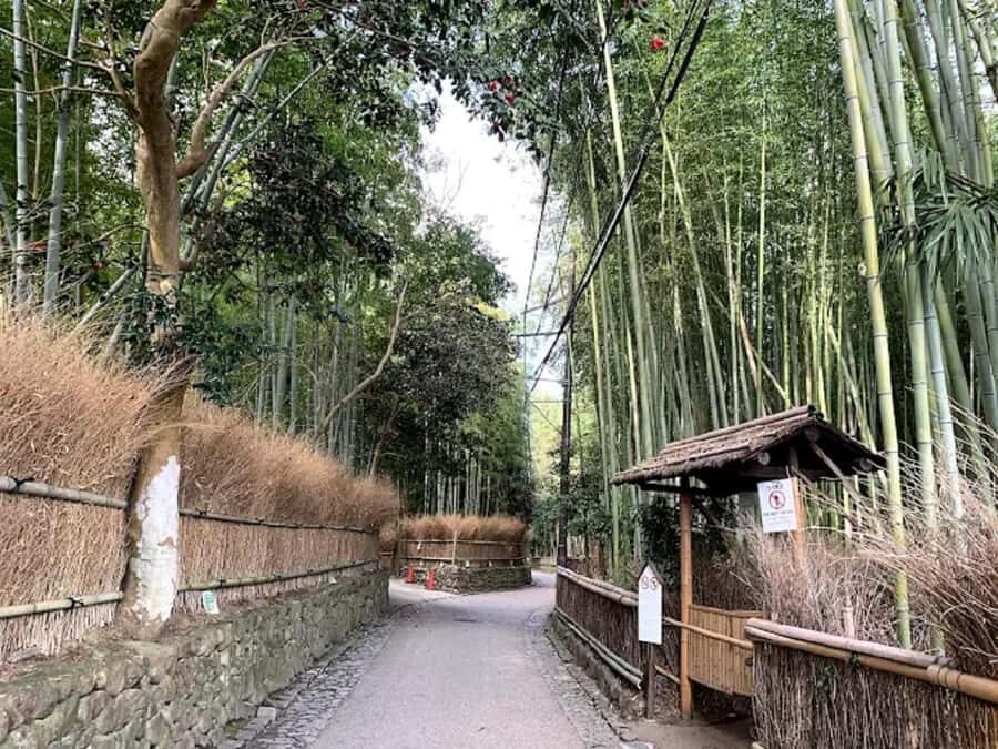 Kyoto Love :Romantic Tour of Arashiyama & Togetsukyo Bridge - Who Should Consider This Tour?