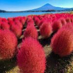 Kyoto: Mount Fuji Private Tour with English Speaking Driver - Customizable Stops: Making It Your Day