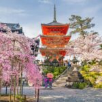 Kyoto & Nara Private Customized, Guided Tour - Is This Tour Worth It?