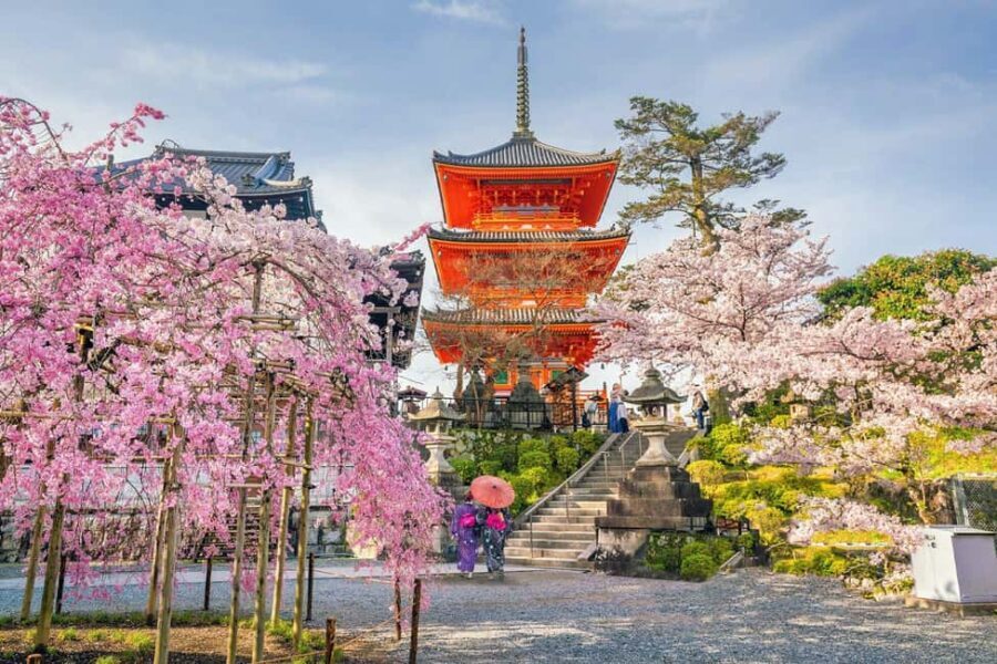 Kyoto & Nara Private Customized, Guided Tour - Is This Tour Worth It?