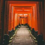 Kyoto & Nara: Private Day Customized Tour in Luxury Vehicle - What to Expect from the Day