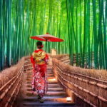 Kyoto & Nara Private Day Tour - Who Is This Tour Best For?