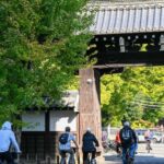 Kyoto: North Kyoto Guided Cycling Tour with Lunch - Deep Dive into the Highlights