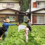 Kyoto: Organic Farm Experience with Vegetable Souvenir - What Makes This Tour Stand Out?