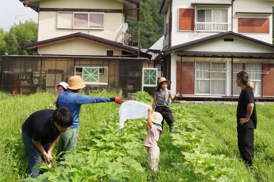 Kyoto: Organic Farm Experience with Vegetable Souvenir - What Makes This Tour Stand Out?