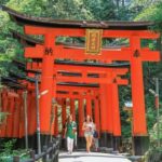 Kyoto/Osaka: Kyoto and Nara Customized Private Guided Tour - Why This Tour Offers Great Value
