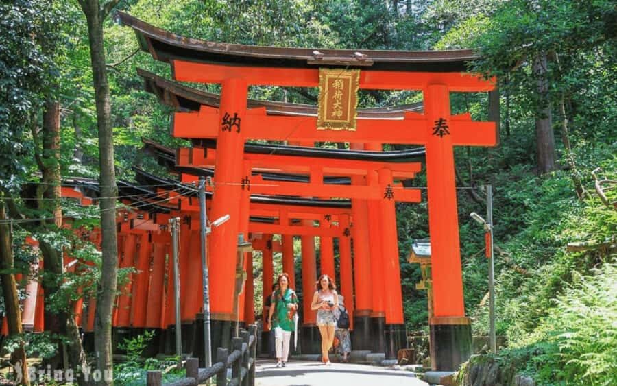 Kyoto/Osaka: Kyoto and Nara Customized Private Guided Tour - Why This Tour Offers Great Value