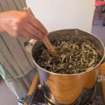 Kyoto: Plant Dyeing Workshop with Lunch - Creating Your Unique Textile