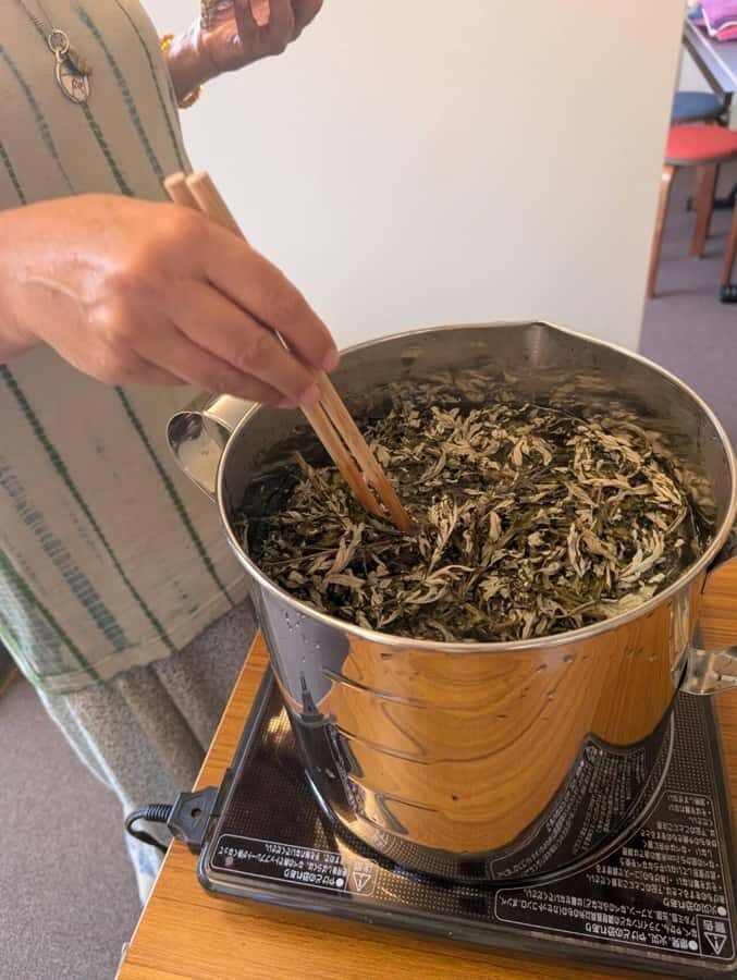 Kyoto: Plant Dyeing Workshop with Lunch - Creating Your Unique Textile