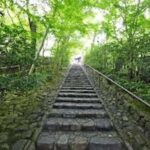 Kyoto: Private charter tour (Bamboo Trail, Suzumushi Temple) - How the Day Unfolds