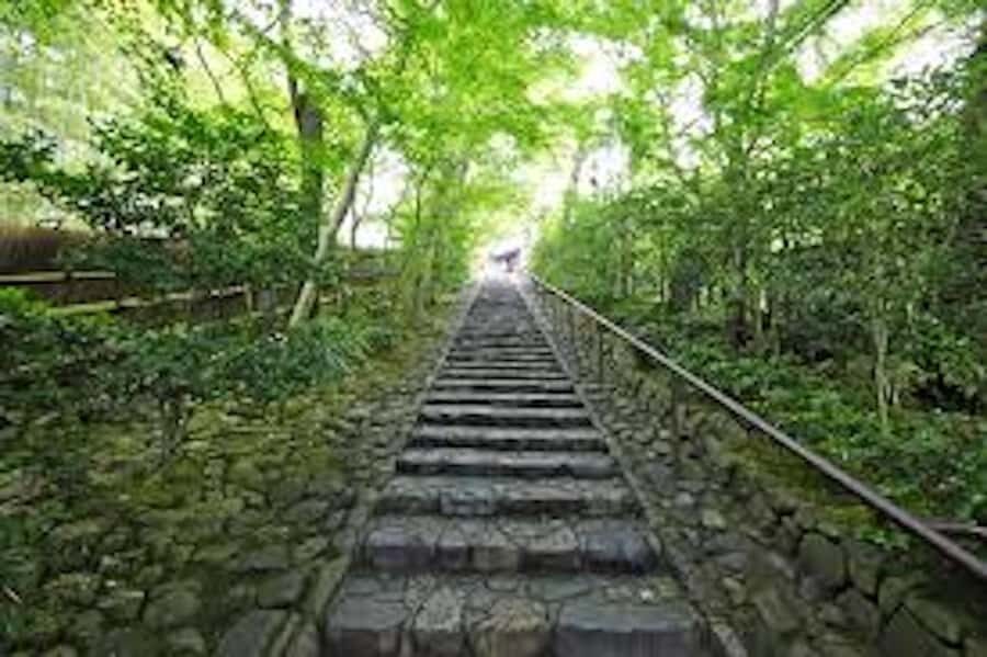 Kyoto: Private charter tour (Bamboo Trail, Suzumushi Temple) - How the Day Unfolds