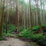 Kyoto: Private Countryside E-Bike Tour with Lunch and Tea - What to Expect: Practical Insights