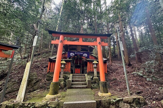 Kyoto Private Customizable Day Trip With English chauffeur - Who Is This Tour Best For?